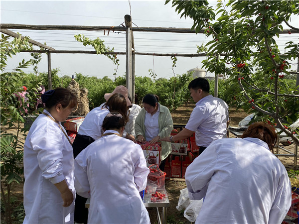 1622512981738440.jpg 今世康公司櫻桃采摘自助燒烤團(tuán)建活動(dòng)8.jpg