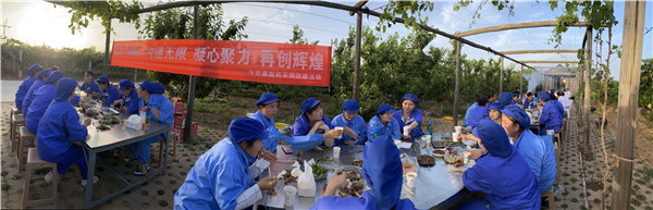 1622512997533051.jpg 今世康公司櫻桃采摘自助燒烤團(tuán)建活動(dòng)9.jpg