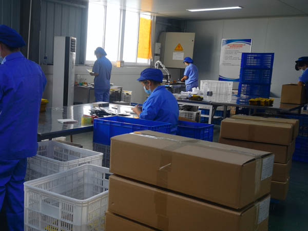 哪里有膏藥加工廠？膏藥貼牌廠家哪家好？